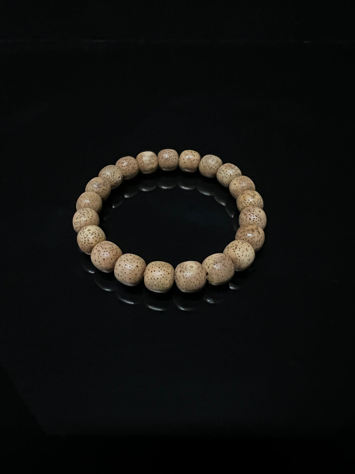 Aged Xingyue Bodhi Seeds – “Chen Zi”