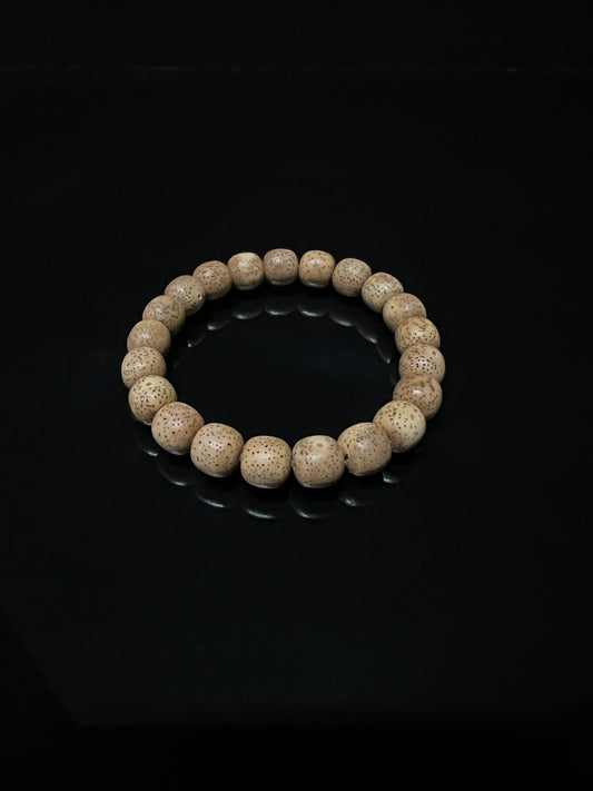 Aged Xingyue Bodhi Seeds – “Chen Zi”